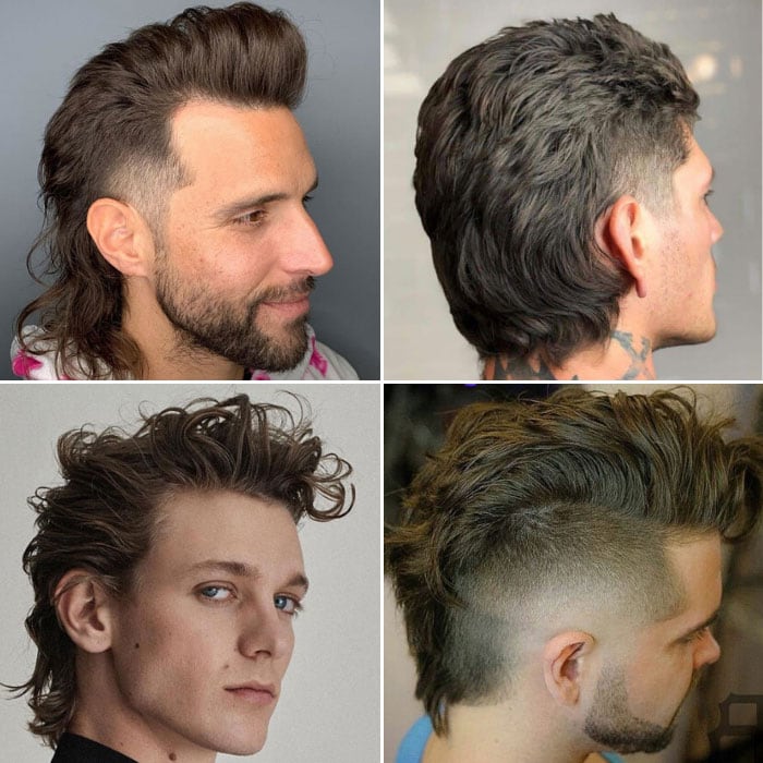 Mullet